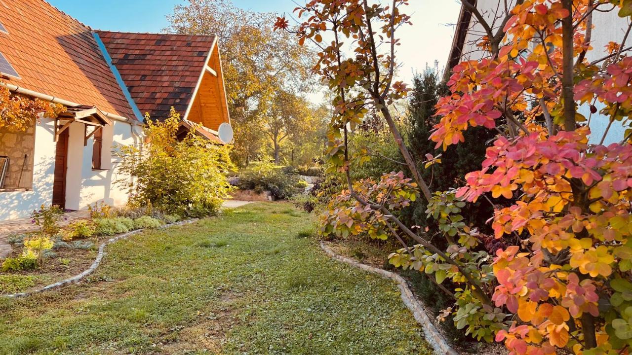 Vitamin B63 Vendeghaz Boldogkovaralja Dış mekan fotoğraf