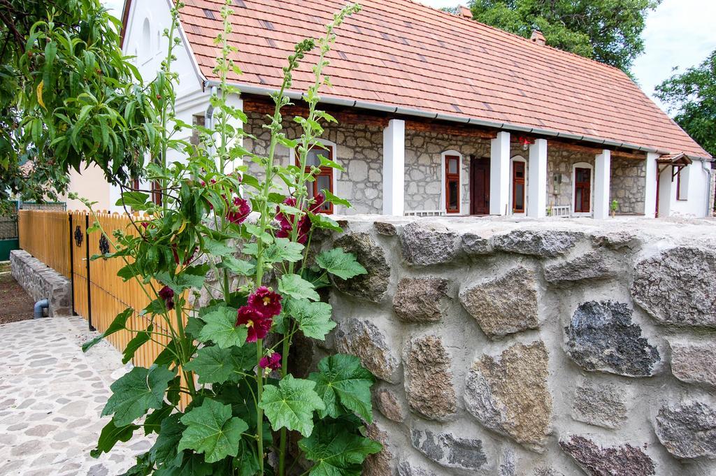 Vitamin B63 Vendeghaz Boldogkovaralja Dış mekan fotoğraf