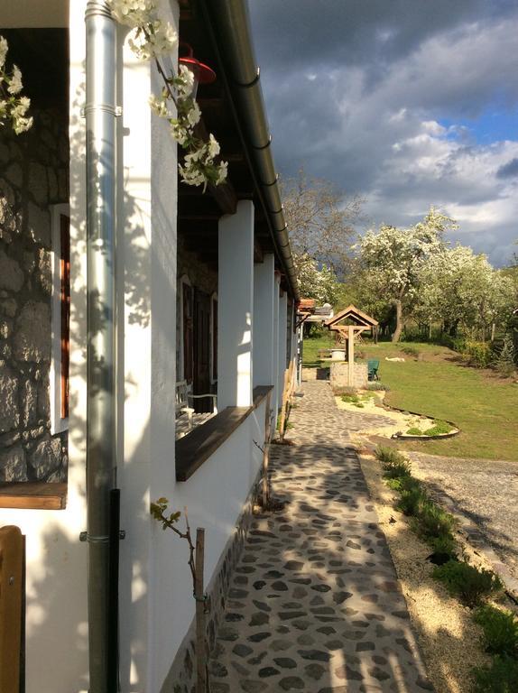 Vitamin B63 Vendeghaz Boldogkovaralja Dış mekan fotoğraf