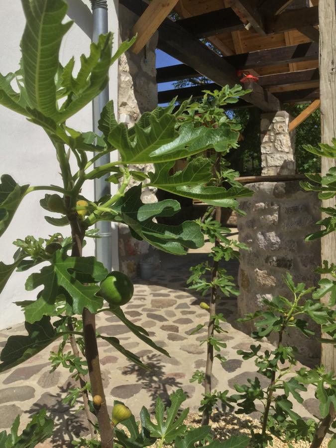 Vitamin B63 Vendeghaz Boldogkovaralja Dış mekan fotoğraf